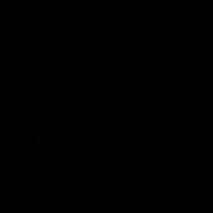 Meet your Posher, Verena